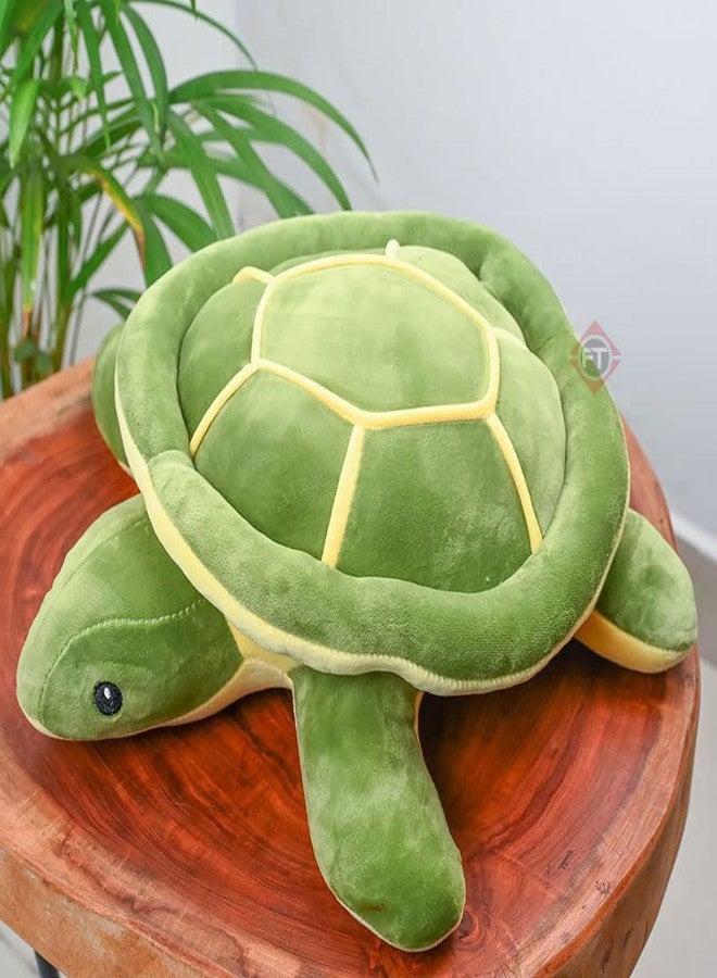 Firstly Traders Soft Toys for Girls | Plush Pillow for Girls | Stuff Toys for Girls | Adorable Green Turtle (32 cm) - Image 4